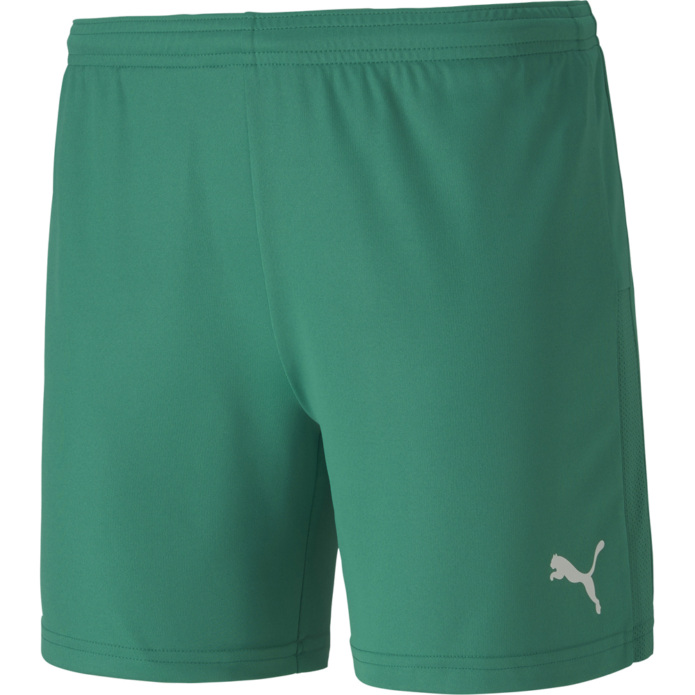 Puma Damen knit Shorts teamGOAL 23 grün