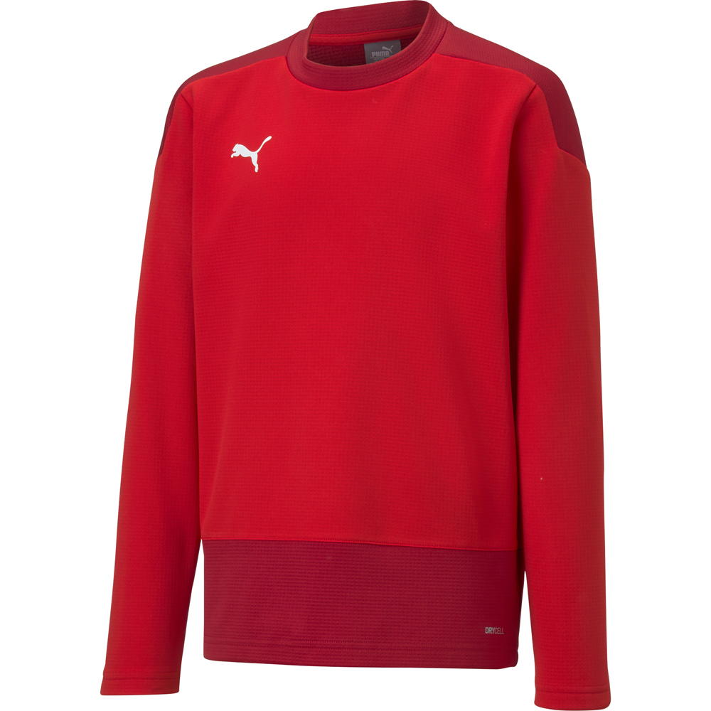 Puma Kinder Training Sweatshirt teamGOAL 23 rot