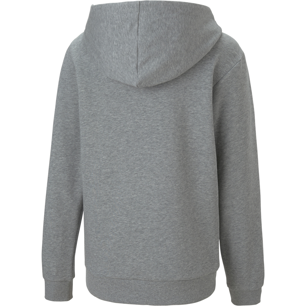 Puma Kinder Zip-Hoodie teamGOAL 23 Casuals grau