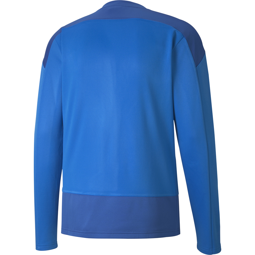 Puma Training Sweatshirt teamGOAL 23 blau