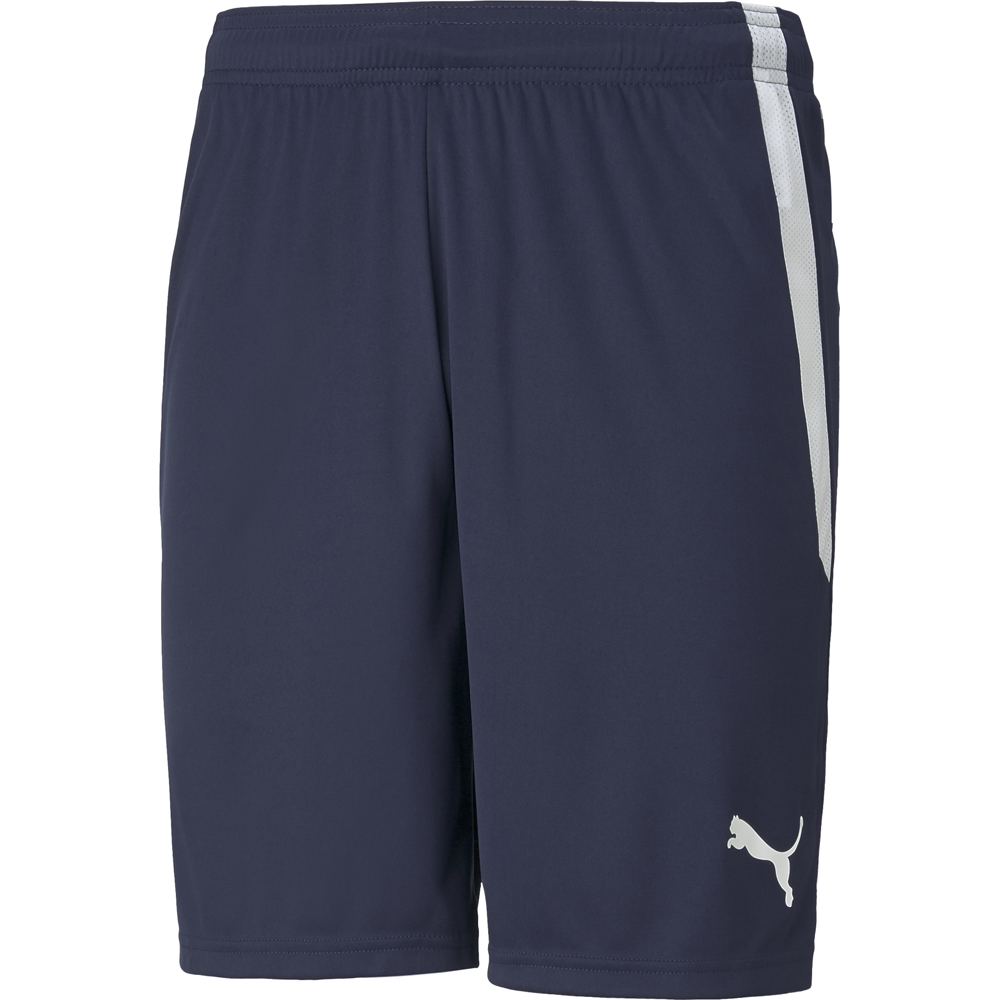 Puma Herren Shorts teamLIGA blau-weiß