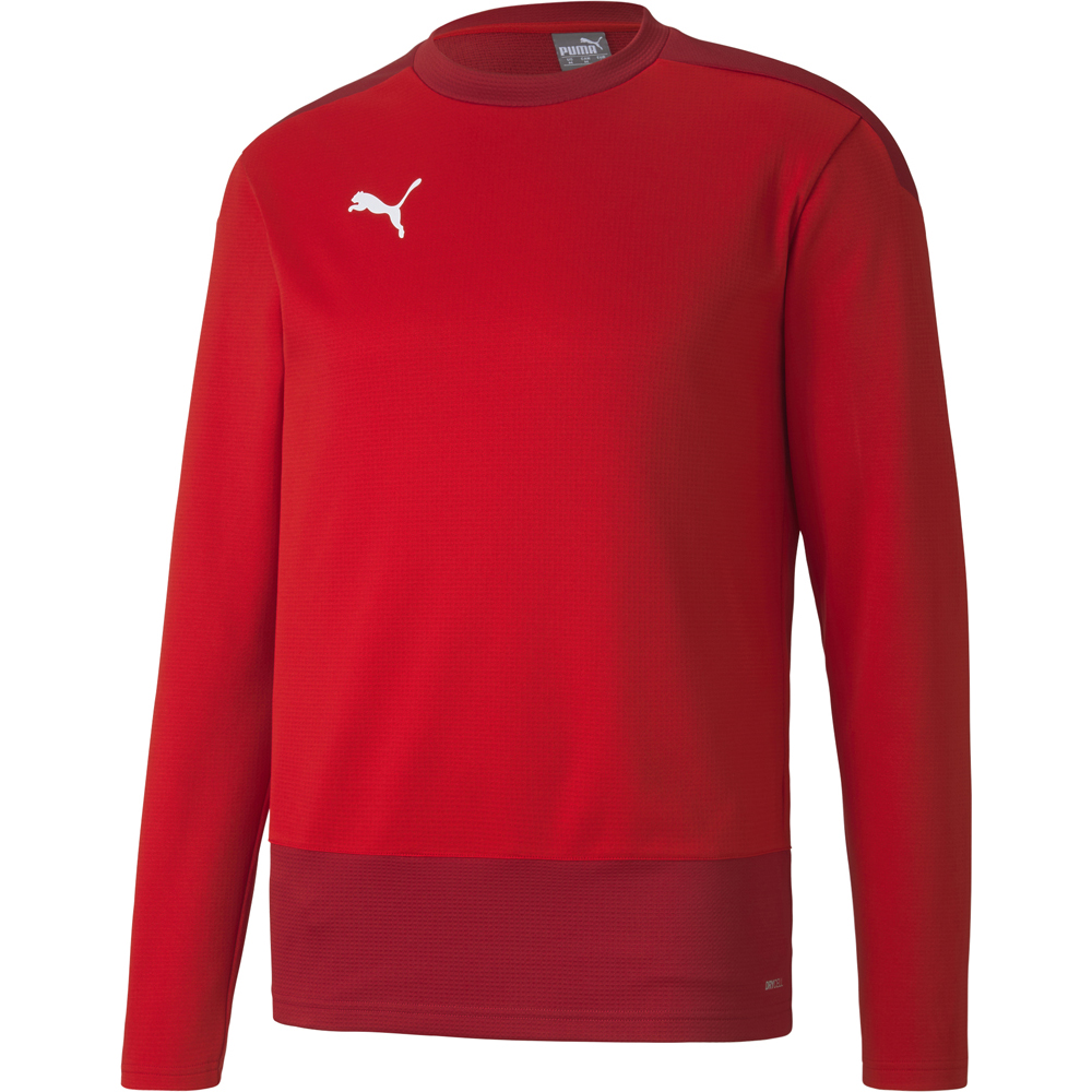 Puma Training Sweatshirt teamGOAL 23 rot