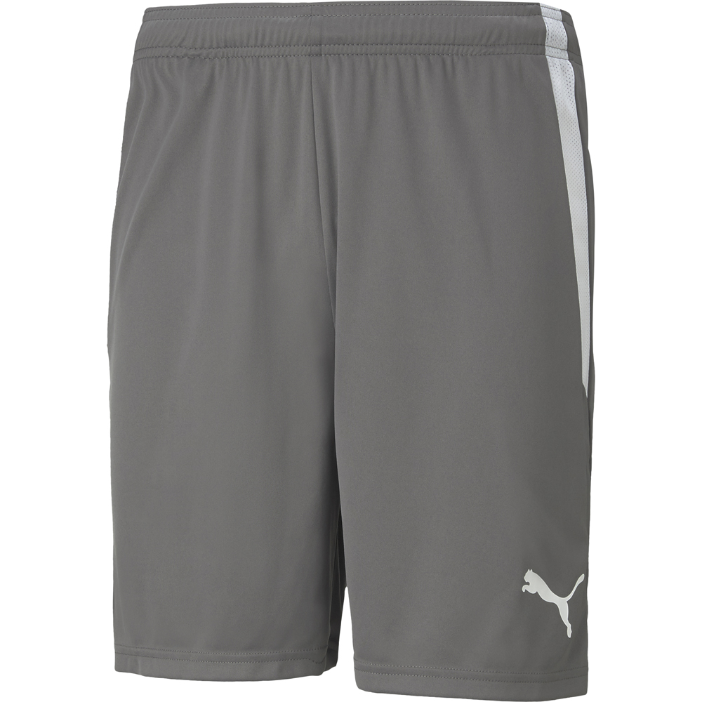 Puma Herren Shorts teamLIGA grau-weiß