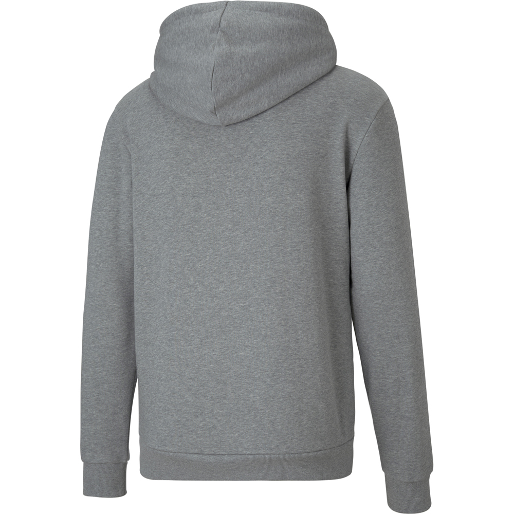 Puma Hoodie teamGOAL 23 Casuals grau