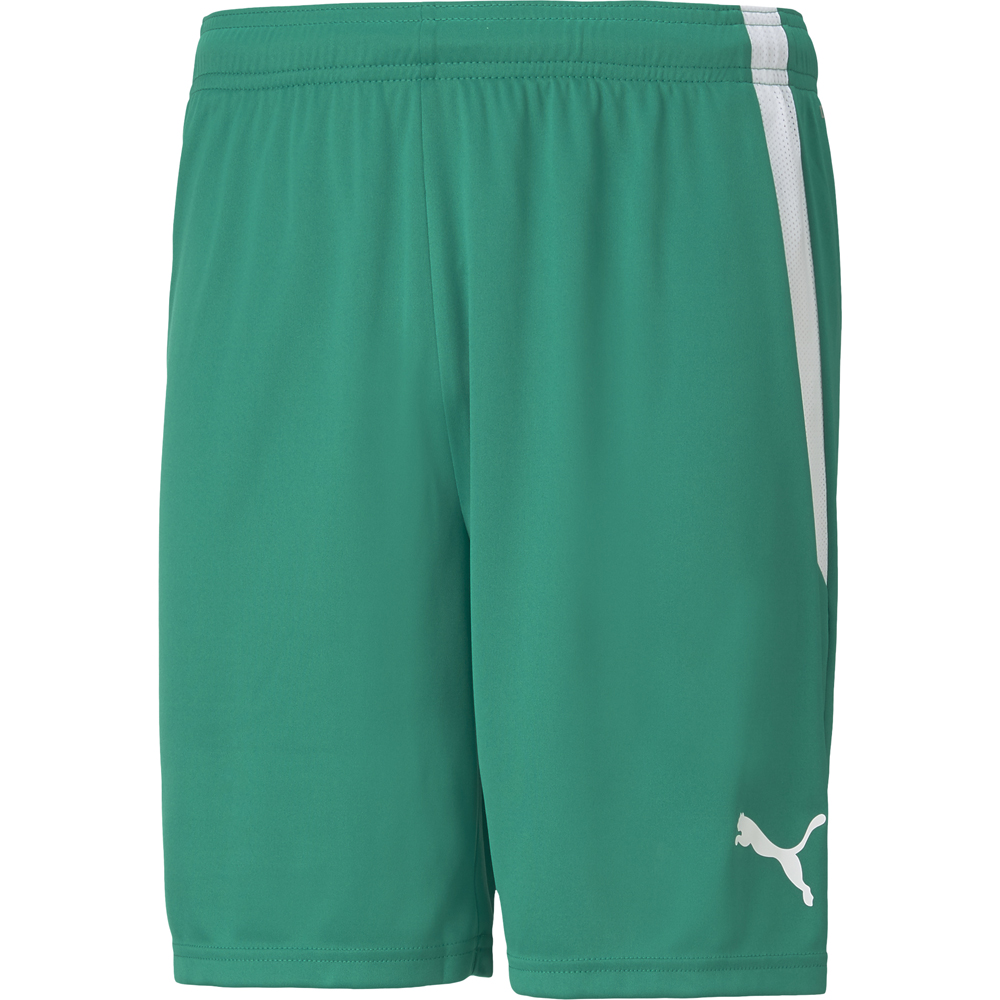 Puma Herren Shorts teamLIGA grün-weiß