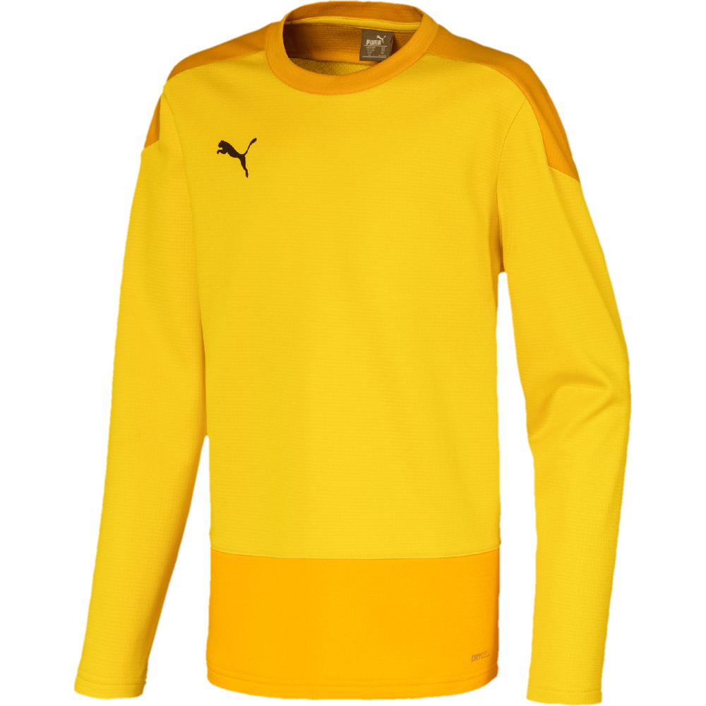 Puma Kinder Training Sweatshirt teamGOAL 23 gelb