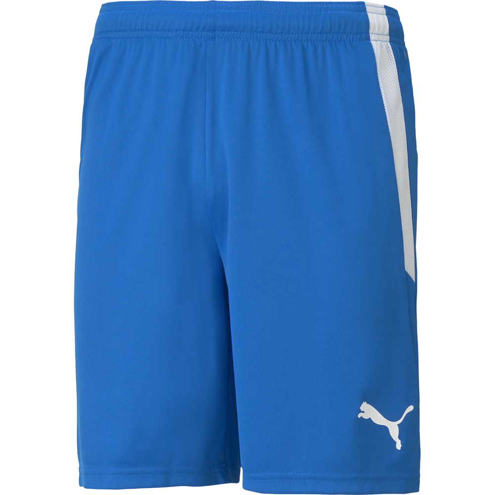 Puma Herren Shorts teamLIGA blau-schwarz