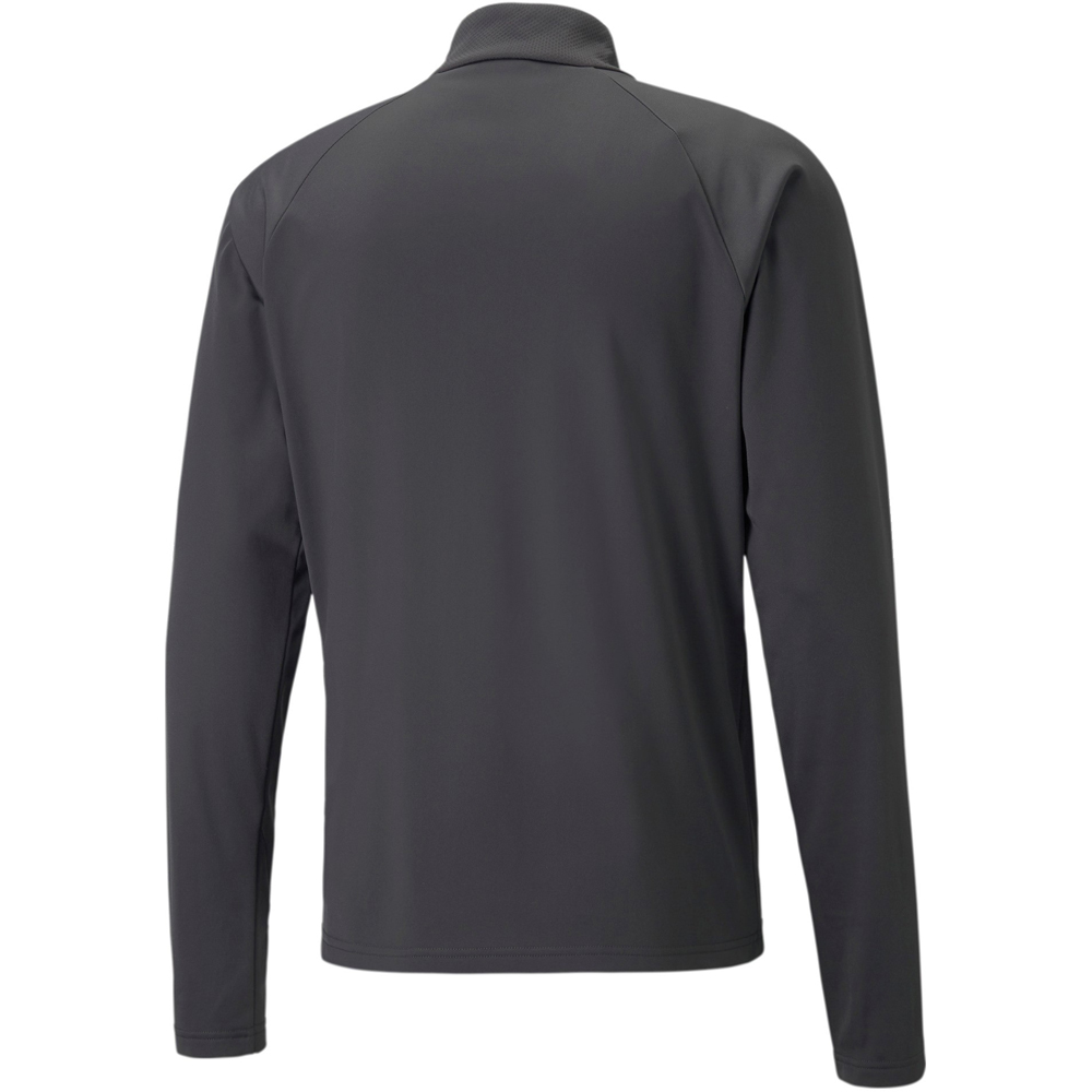 Puma 1/4 Zip Top teamLIGA schwarz-blau