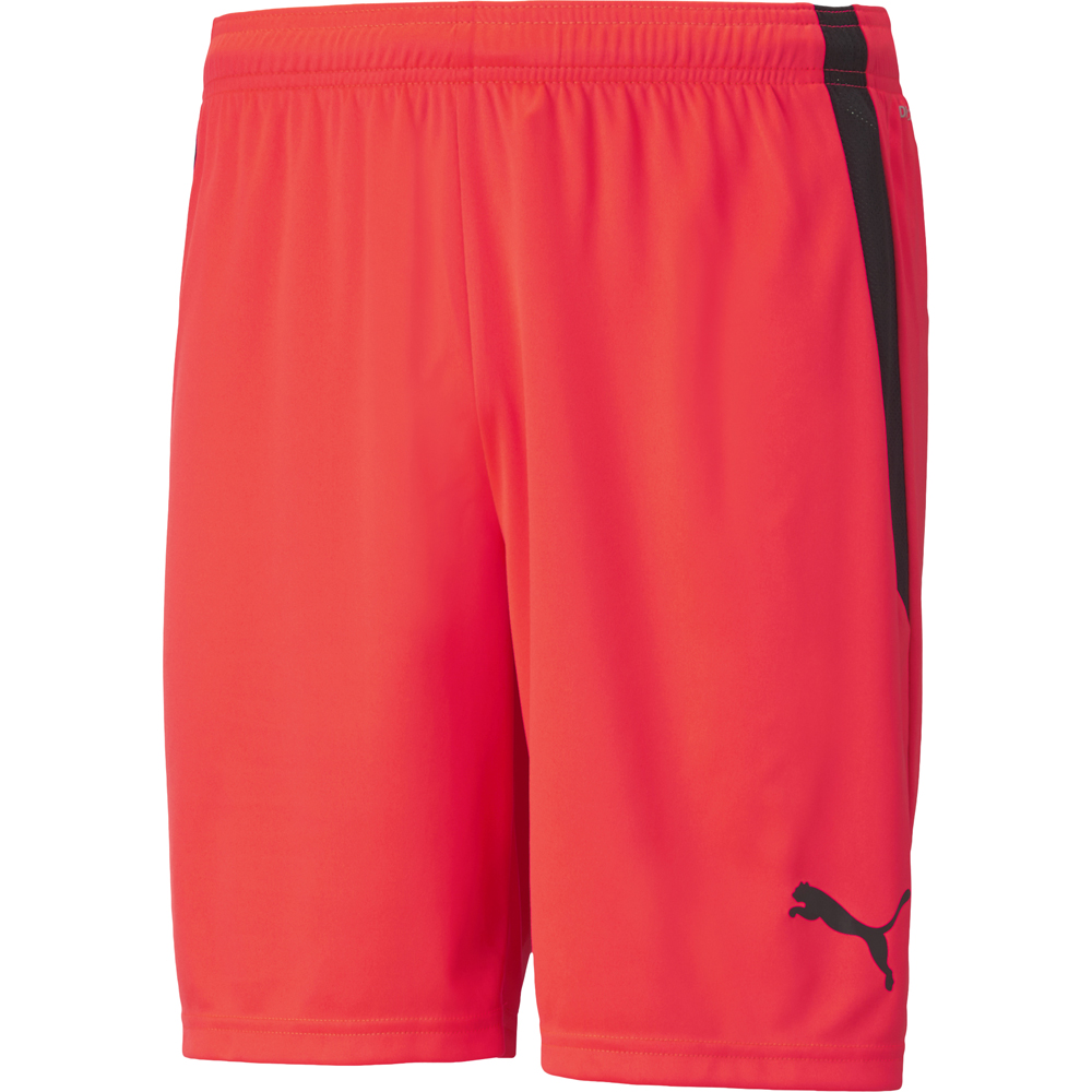 Puma Herren Shorts teamLIGA rot schwarz