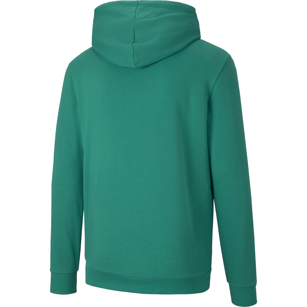 Puma Hoodie teamGOAL 23 Casuals grün