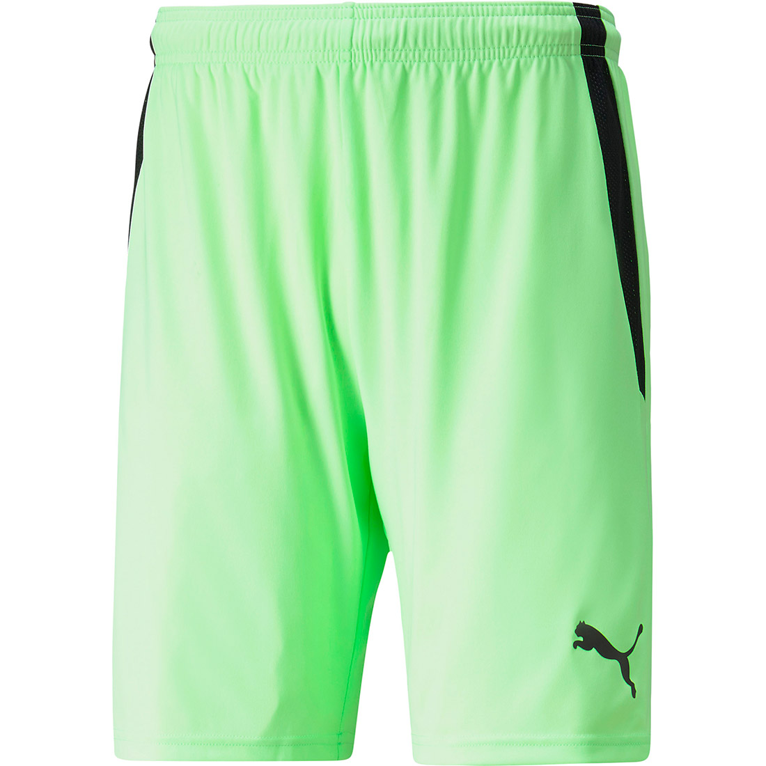 Puma Herren Shorts teamLIGA grün-schwarz