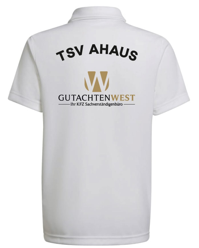 TSV Ahaus Poloshirt Entrada 22