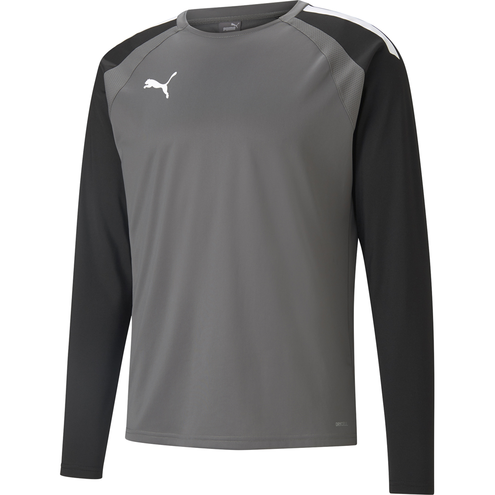 Puma Training Sweatshirt teamLIGA grau-schwarz