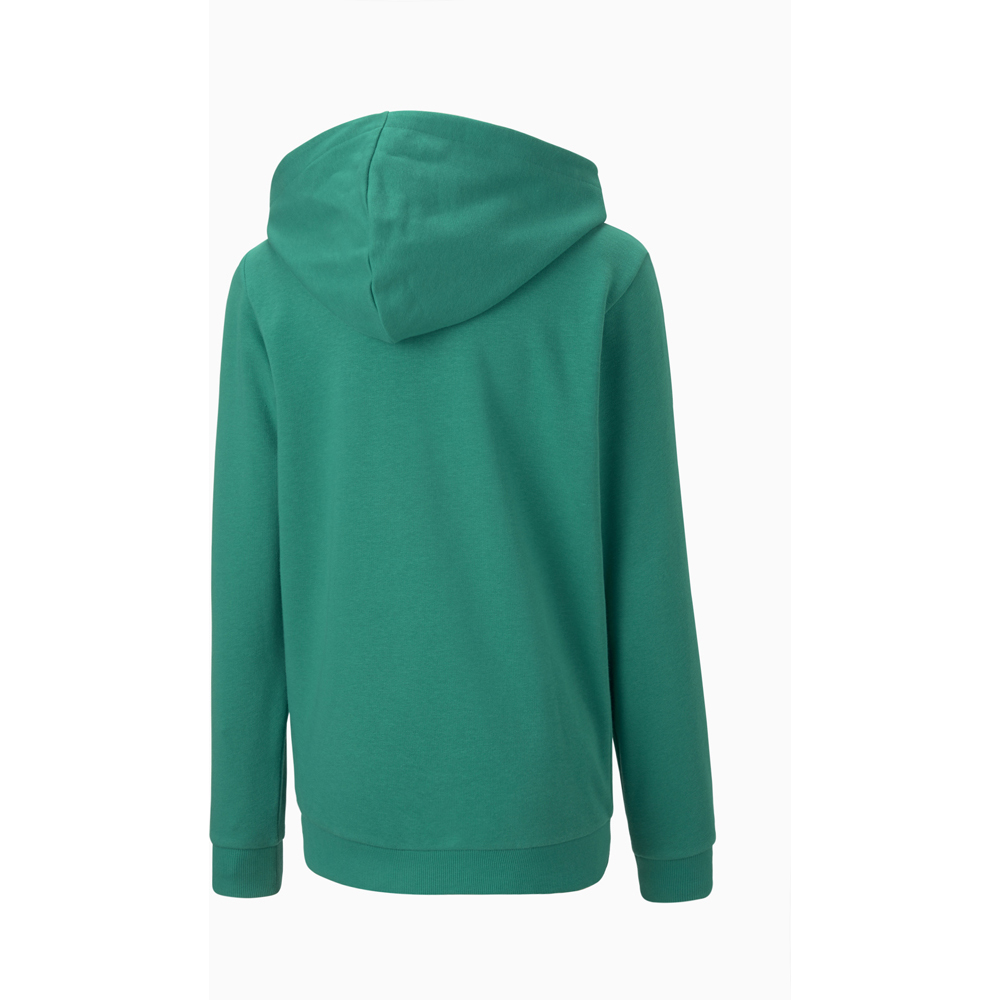 Puma Kinder Zip-Hoodie teamGOAL 23 Casuals grün