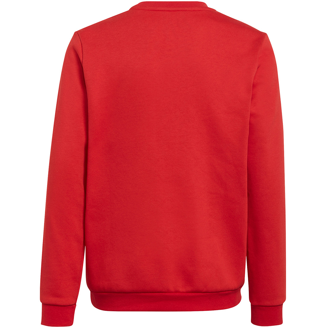 Adidas Kinder Sweatshirt Entrada 22 rot