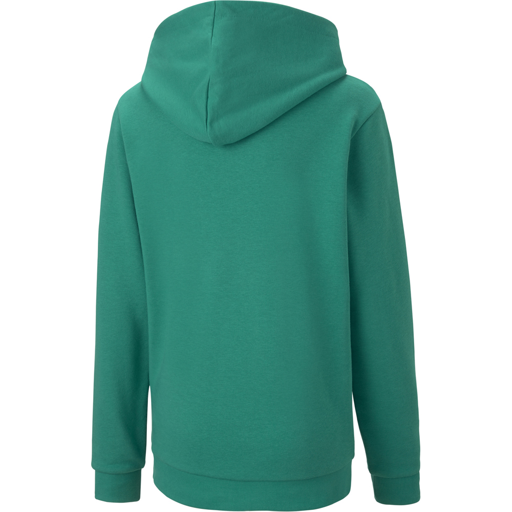 Puma Kinder Hoodie teamGOAL 23 Casuals grün