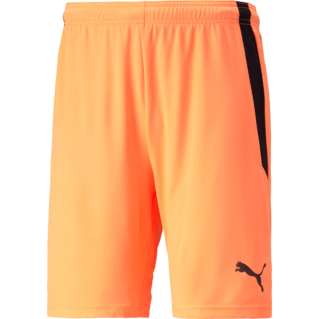 Puma Herren Shorts teamLIGA orange-schwarz