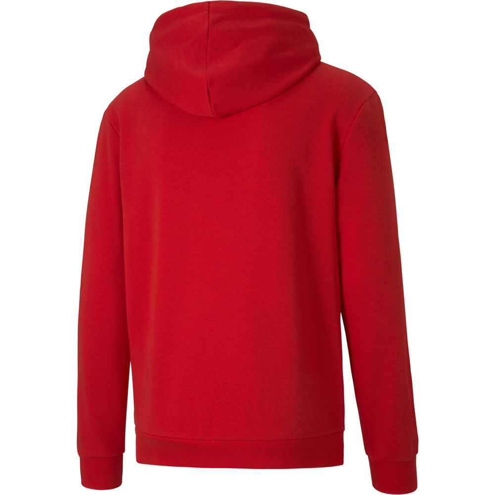 Puma Hoodie teamGOAL 23 Casuals rot