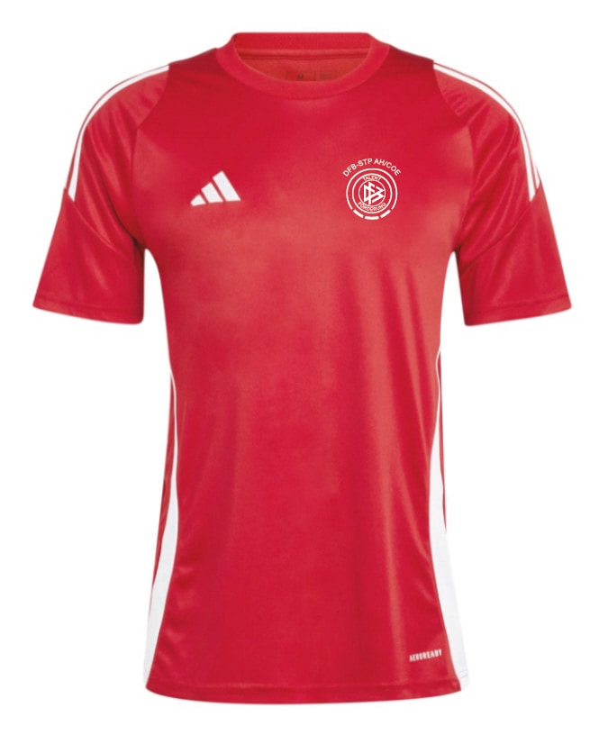 DFB Stützpunkt Trikot Tiro 24 rot