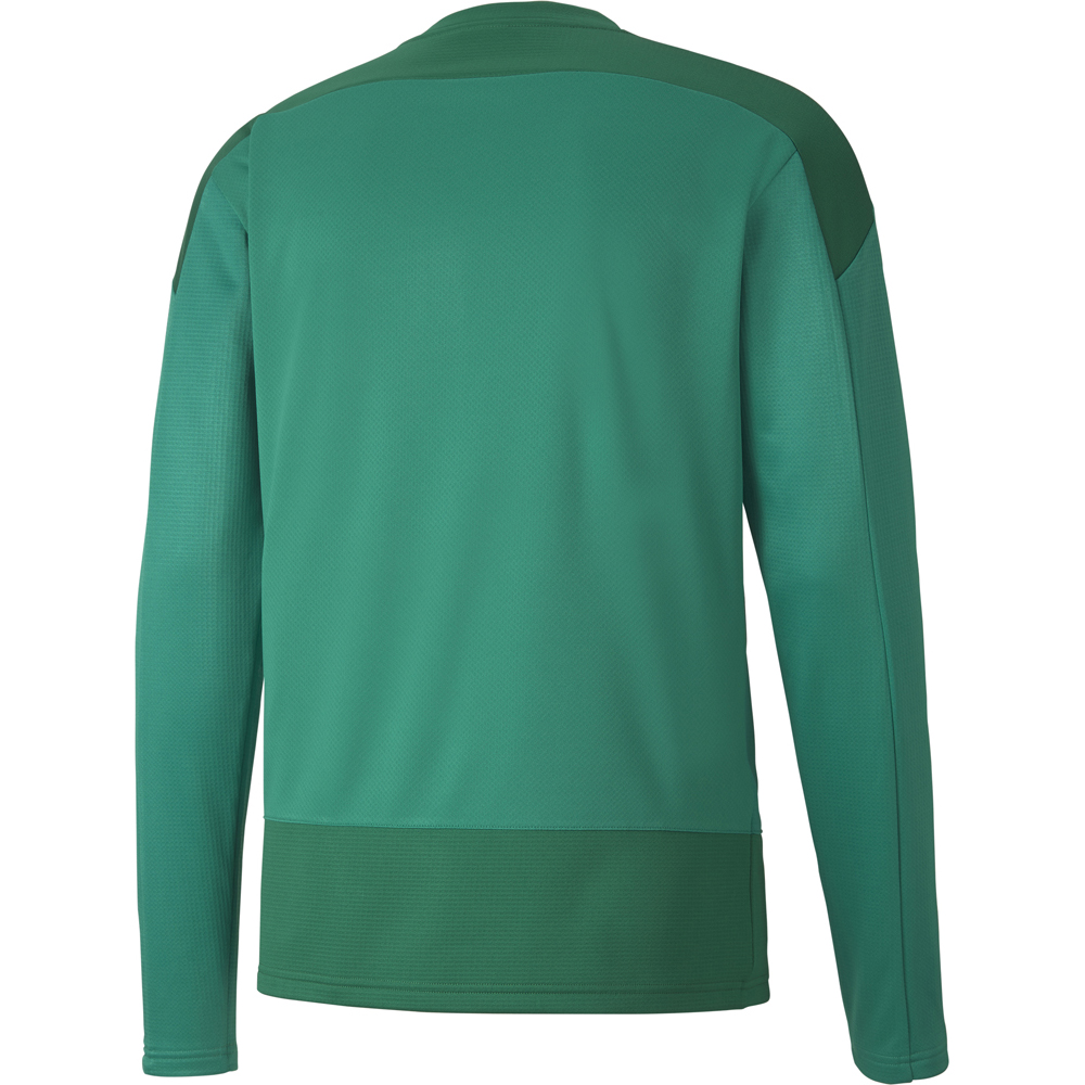 Puma Training Sweatshirt teamGOAL 23 grün