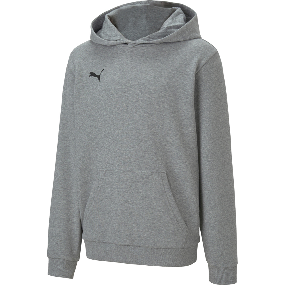 Puma Kinder Hoodie teamGOAL 23 Casuals grau