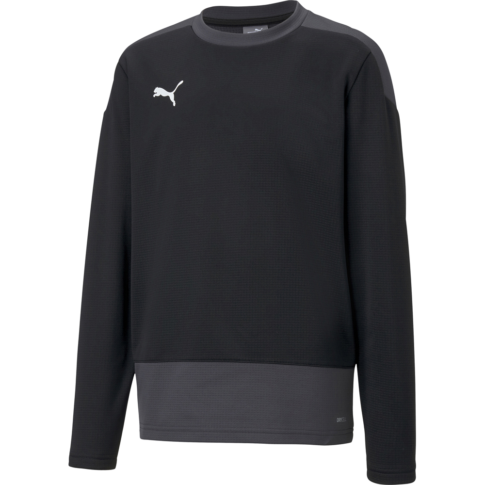 Puma Kinder Training Sweatshirt teamGOAL 23 schwarz-grau