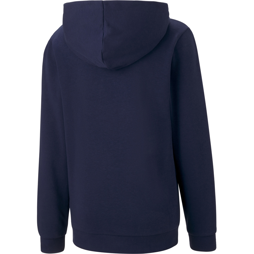 Puma Kinder Hoodie teamGOAL 23 Casuals blau