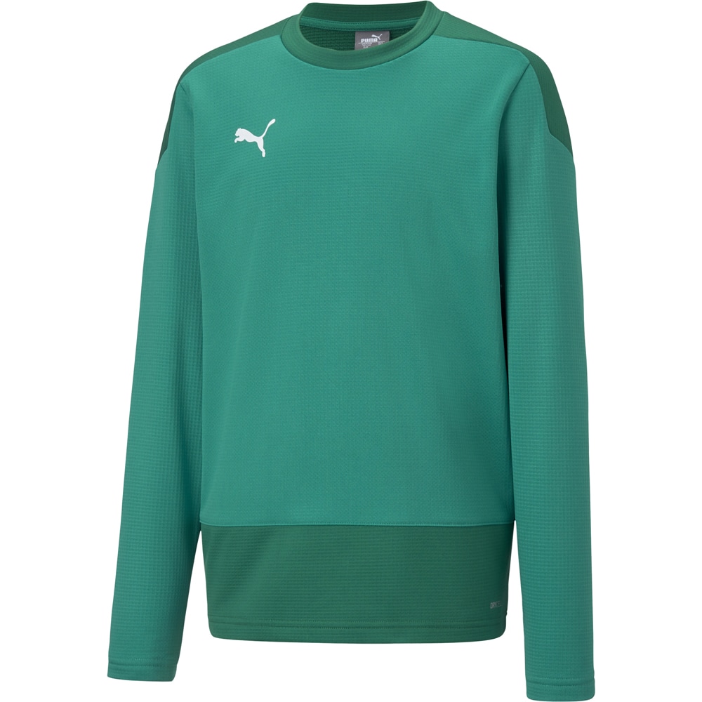 Puma Kinder Training Sweatshirt teamGOAL 23 grün